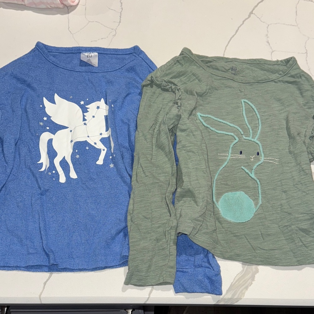 Two Toddler Girls Gap Long Sleeve T Shirts 5T
